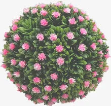 浪漫新娘捧花婚礼免抠