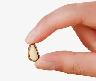 手捏开口松子素材免抠