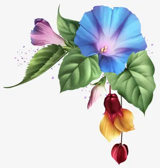 蓝色喇叭花免抠