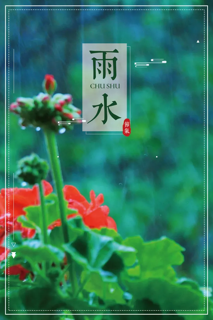 雨水节气绿色清新花朵春天海报高清