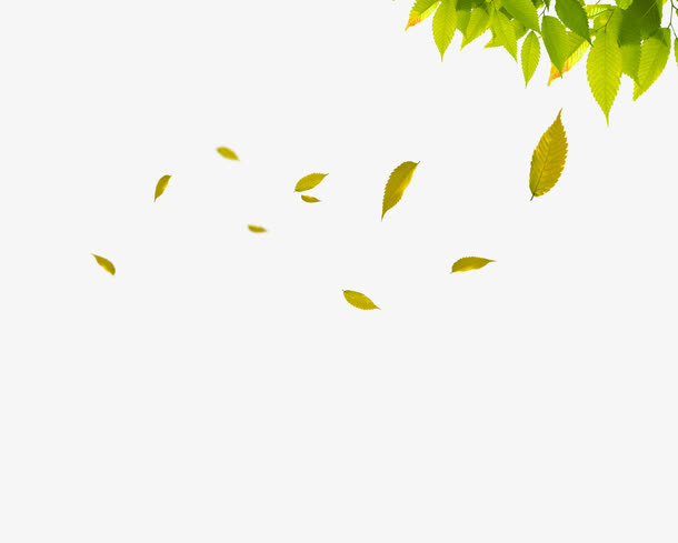 绿色简约树叶漂浮素材免抠