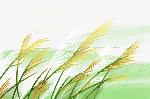 春天踏青手绘插画芦苇免抠