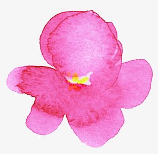 粉色春天花朵水彩免抠