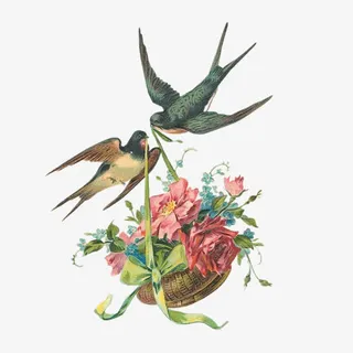 小燕子叼花篮免抠