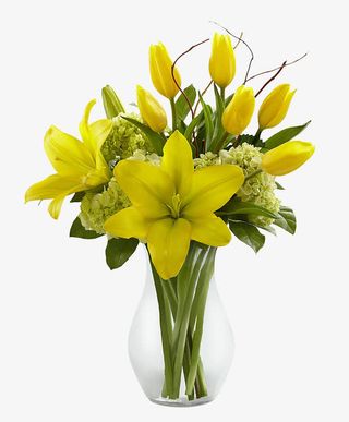 郁金香百合绣球插花免抠