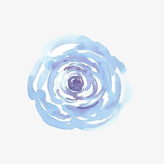 文艺清新花草花环海报设计装饰免抠