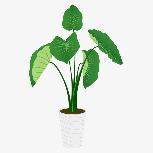 盆栽植物矢量图下载免抠