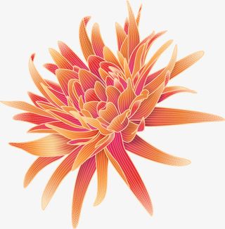 国潮风格 中国风 菊花 纹路 传统素材免抠