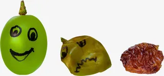 一张葡萄枯萎进程图免抠