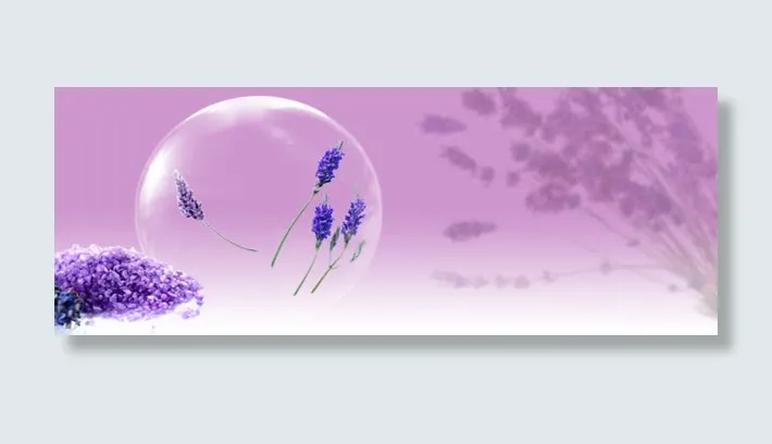 薰衣草背景