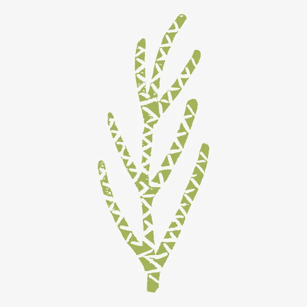简单的可爱日系植物免抠