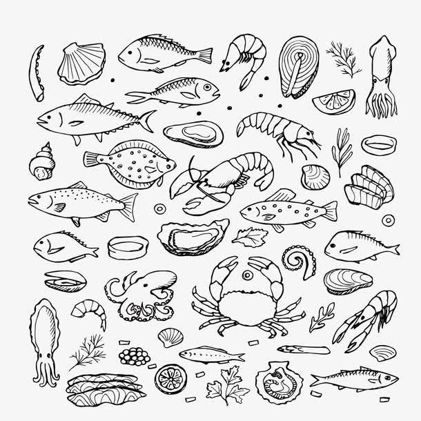 矢量手绘海鲜食材免抠