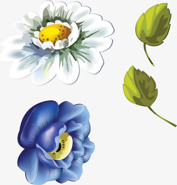 野菊花免抠