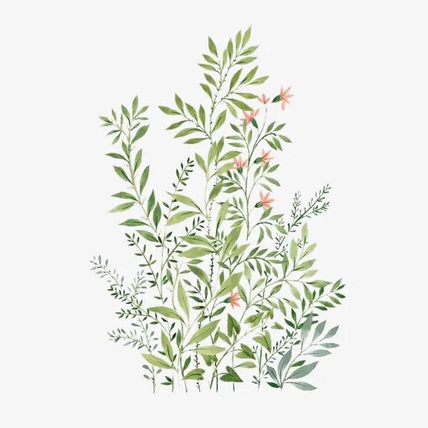 花草墙纸免抠