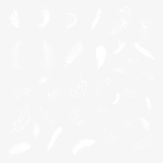 羽毛素材免抠免抠漂浮其他元素