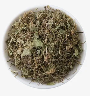 中药药材积雪草免抠