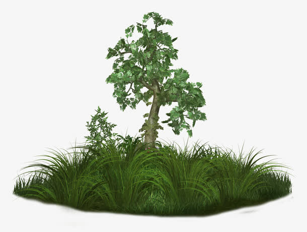 绿草树木免抠