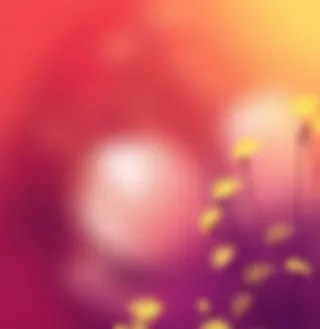 暖色调晕染下的换色鲜花免抠