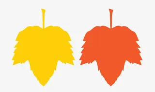 红黄枫叶剪纸免抠