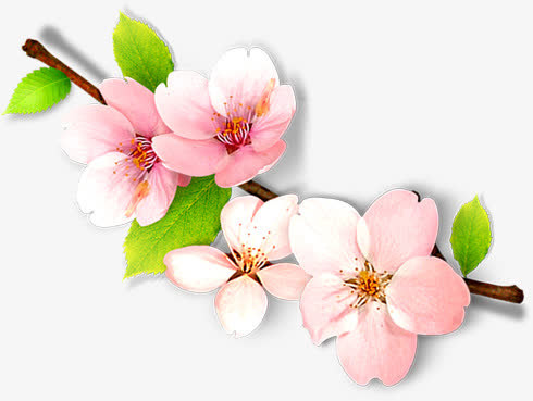 桃花主题古典茶道素材免抠