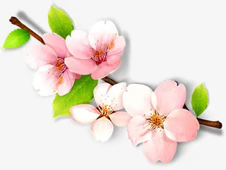 桃花主题古典茶道素材免抠