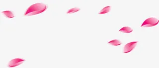 粉色花瓣漂浮效果免抠