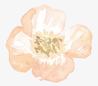 唯美水彩花朵素材免抠