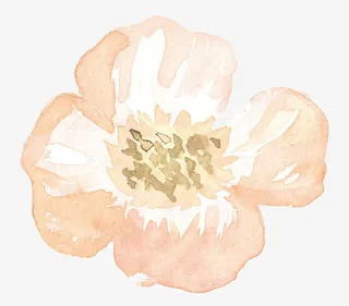 唯美水彩花朵素材免抠