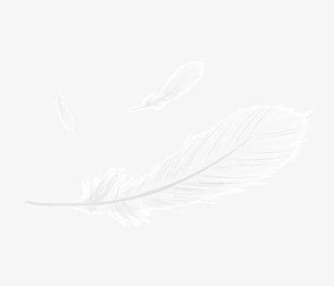 柔软白鸭绒免抠