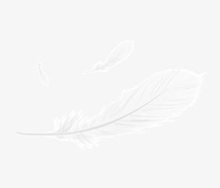 柔软白鸭绒免抠