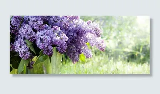 清新文艺丁香花背景高清