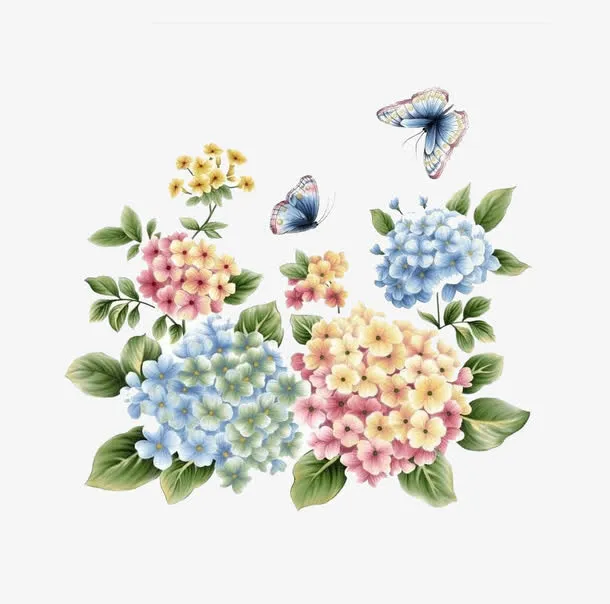 手绘绣球花免抠