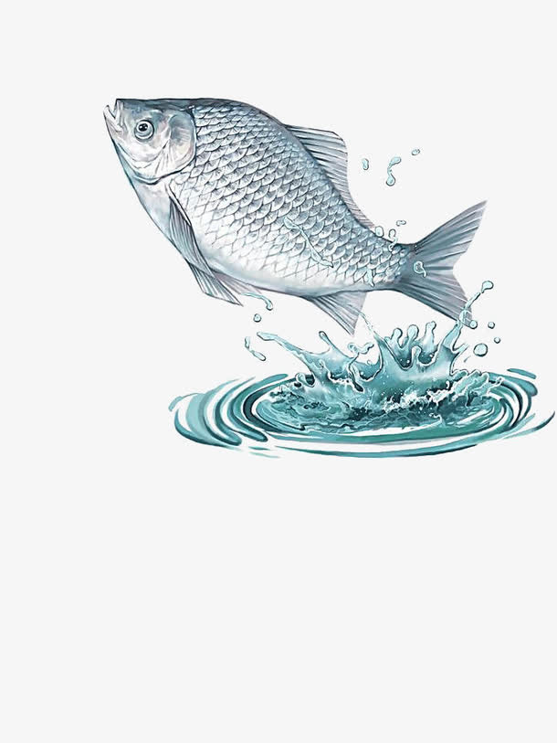 创意手绘鱼免抠