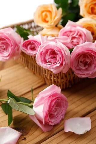 玫瑰花篮各色玫瑰意境免抠