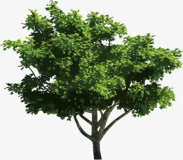 绿色植物花草免抠