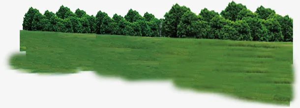 绿色草地远树实物素材免抠