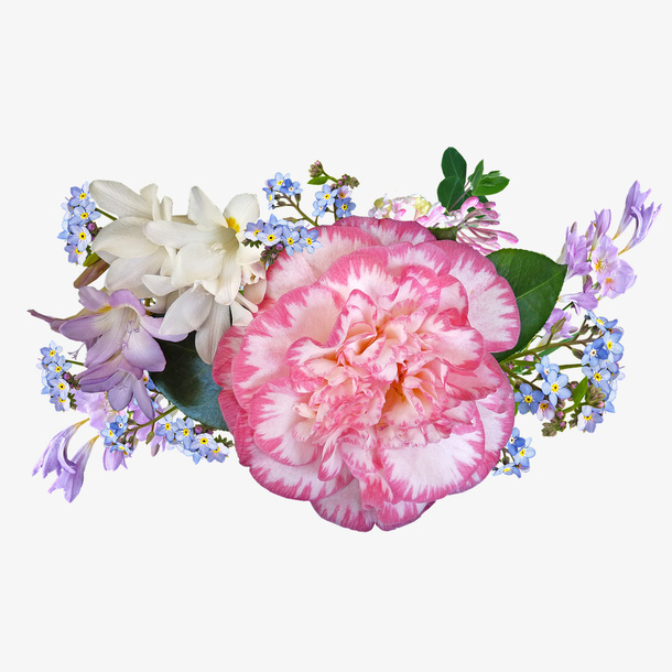 一丛唯美茶花插花设计免抠免抠