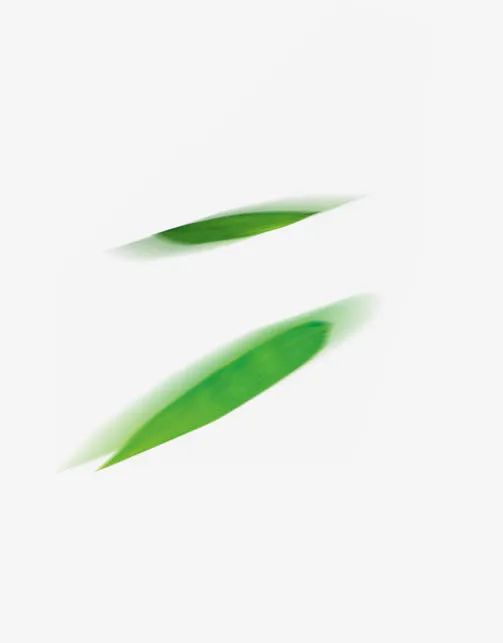 粽叶清新免抠