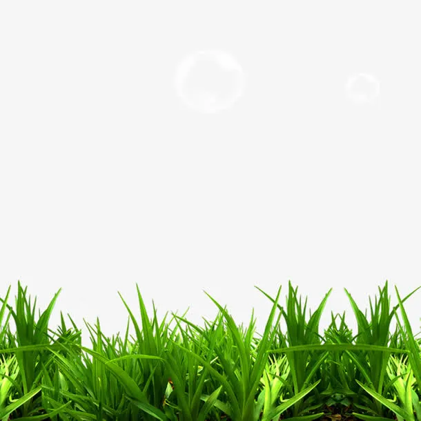 绿色草地白色气泡背景