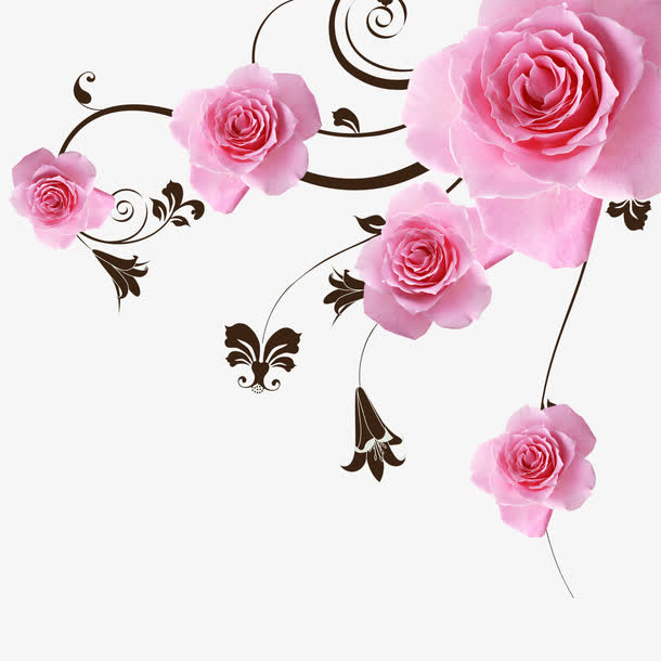 花朵免抠