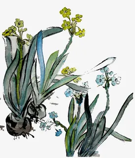 水墨水仙花免抠