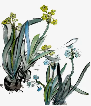 水墨水仙花免抠