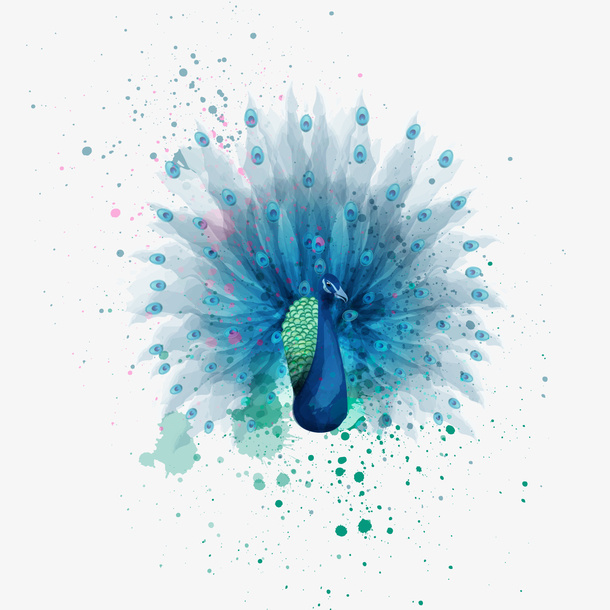 水彩绘蓝色孔雀矢量图免抠