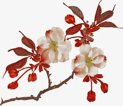 手绘桃花免抠