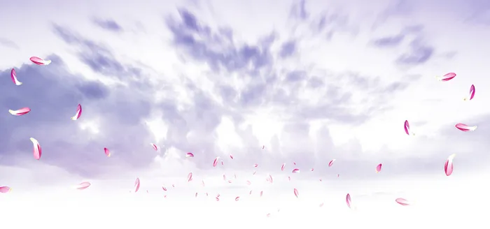 粉色花瓣渐变紫色banner背景高清