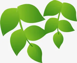 绿色渐变手绘树叶免抠