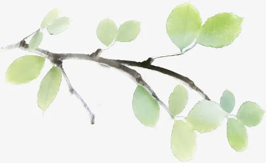 手绘清新夏季绿叶装饰免抠