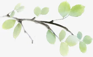 手绘清新夏季绿叶装饰免抠