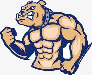 狗年强壮的黄色小狗免抠