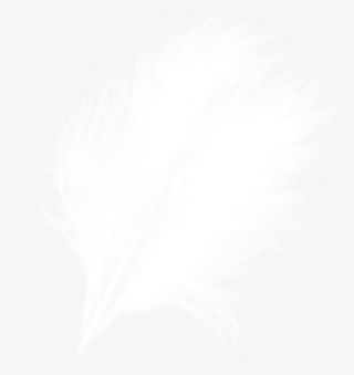 白色可爱简约羽毛设计免抠